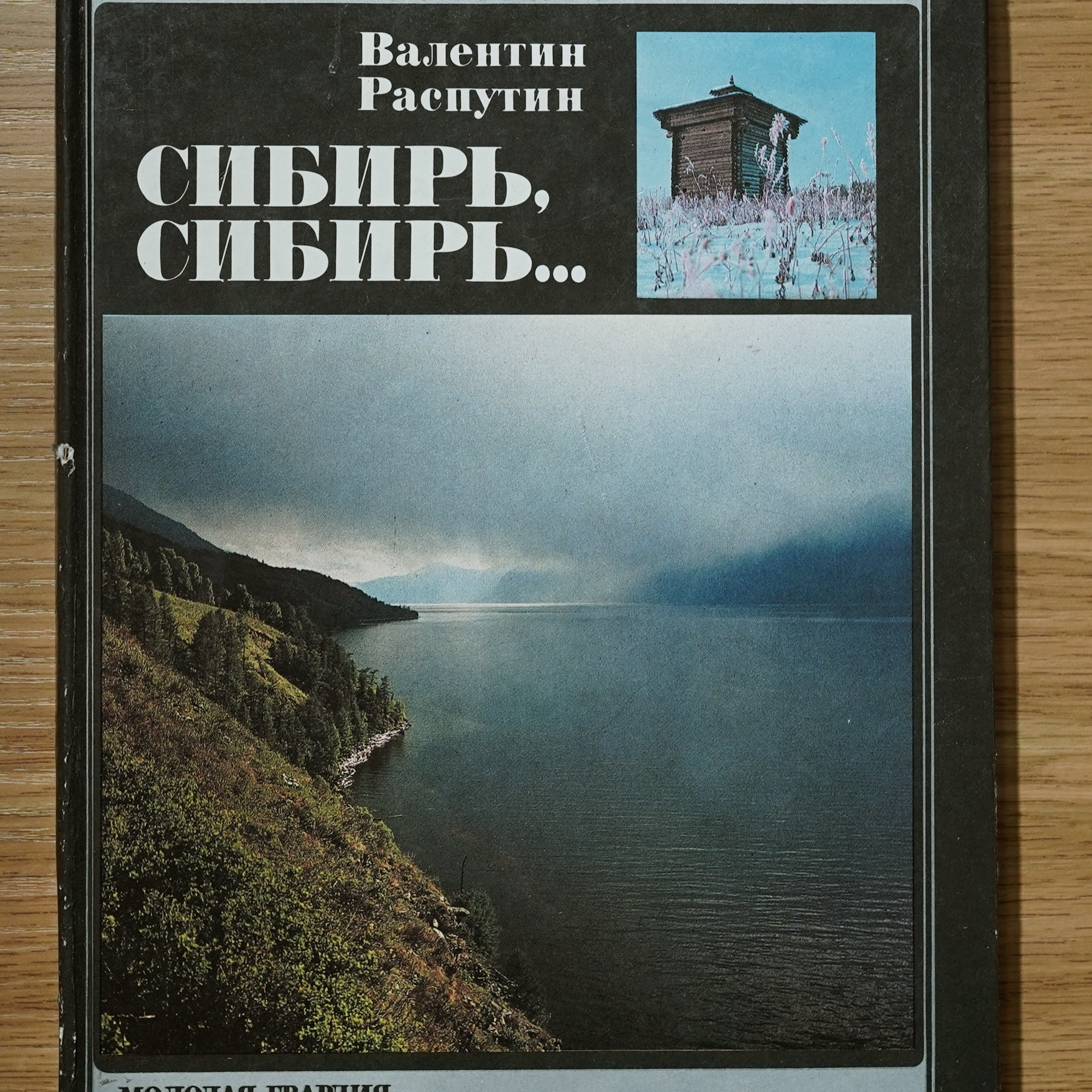 О книге «Сибирь, Сибирь…»